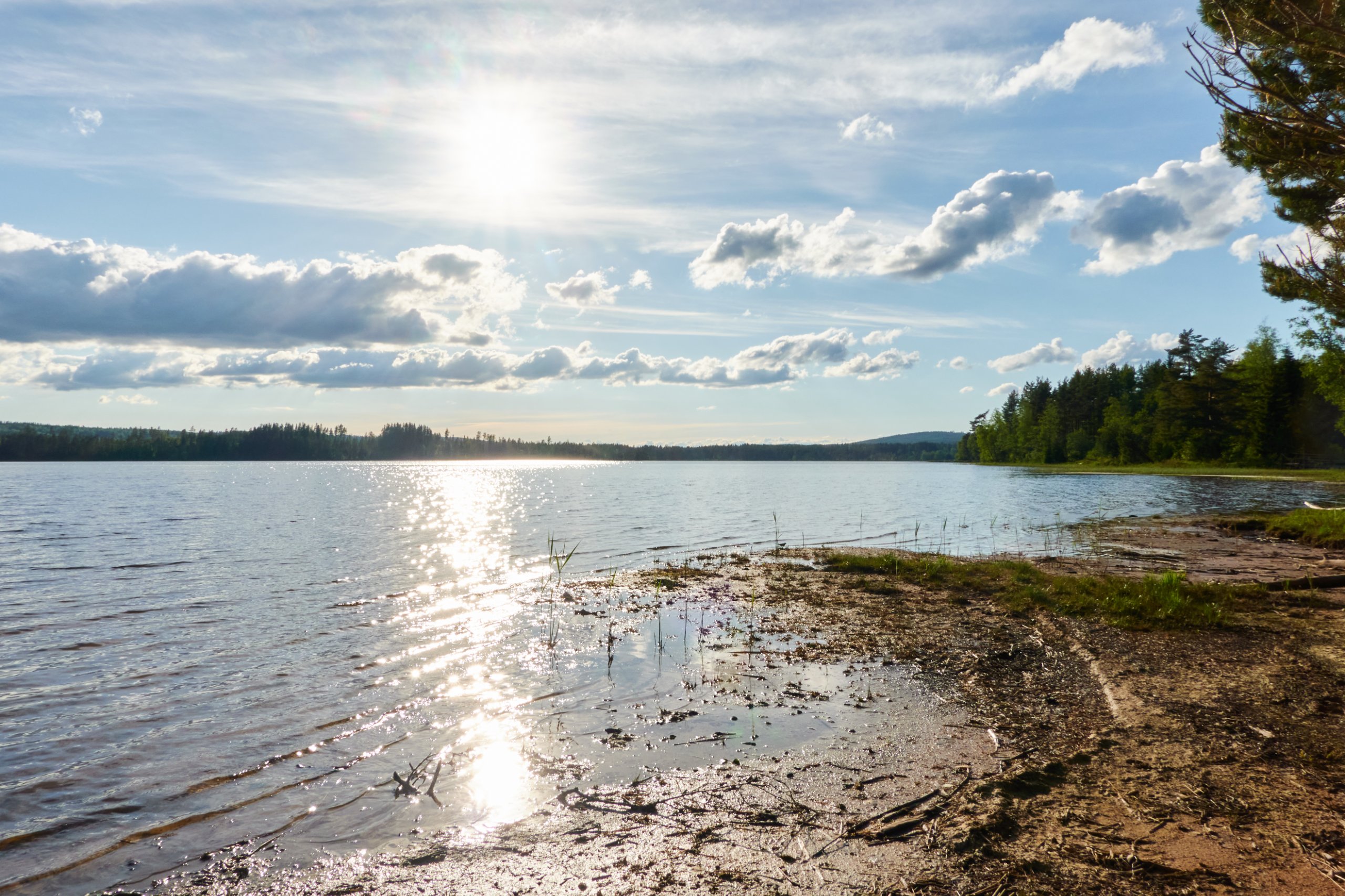 2024 05 24 Sverige 0149